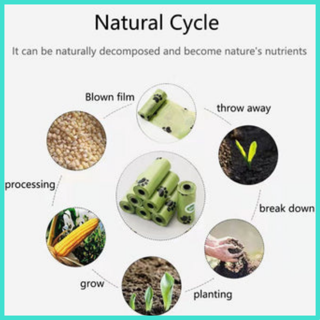 Cat litter shovel with tank - CatParadise™